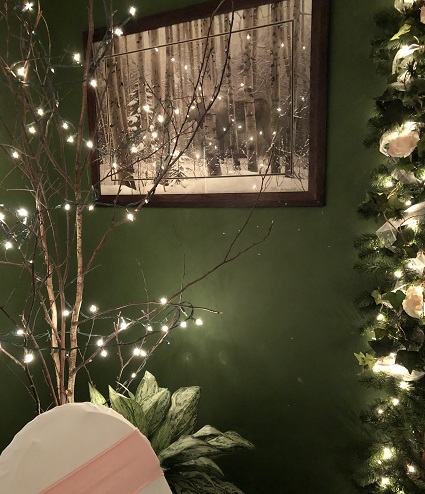 Authentic Winter Birch - Christmas - authentic winter birch in planter